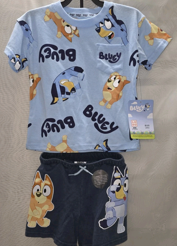 Bluey Boy 2 Piece Outfit Size 2T T Shirt And Shorts New With Tags.