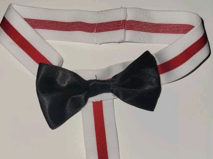 Mens Bow Tie G String Thong Bodysuit Sexy Underwear Medium Size 32 Red And White