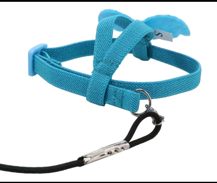 Birds Harness And Leash Adjustable, Great For Training. Wings Attached 14.5" Across, 7.8" Leash