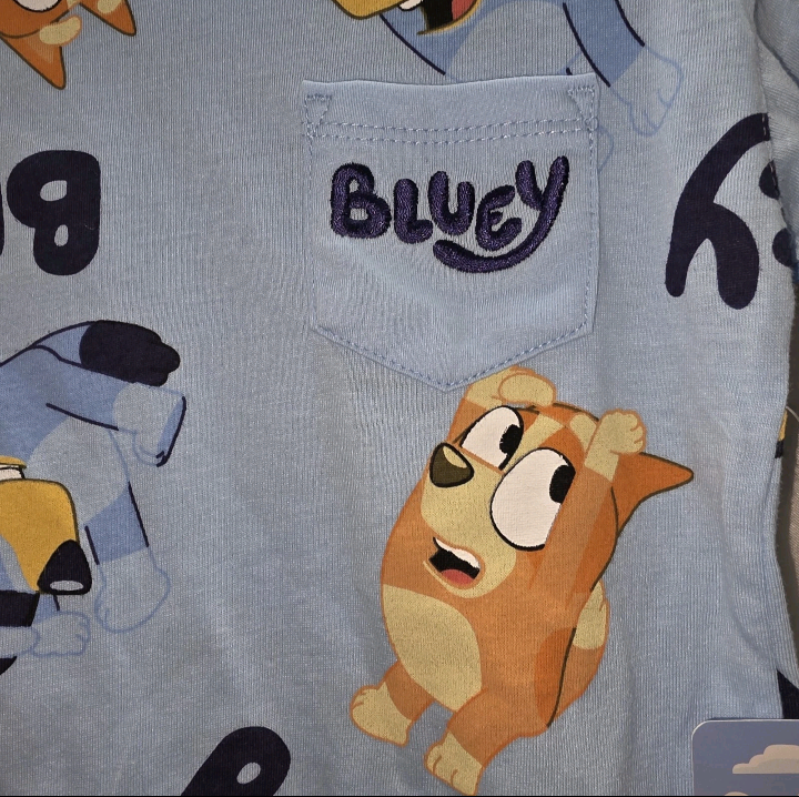 Bluey Boy 2 Piece Outfit Size 2T T Shirt And Shorts New With Tags.
