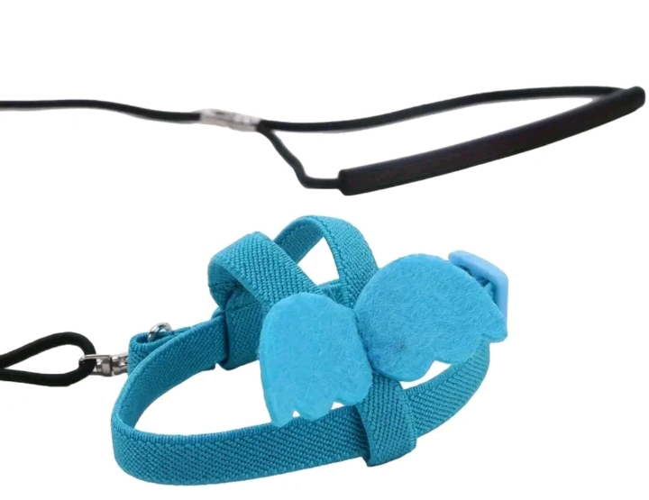 Birds Harness And Leash Adjustable, Great For Training. Wings Attached 14.5" Across, 7.8" Leash
