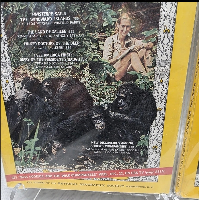 Vintage National Geographic 1964 October And December Magazine Sleeved