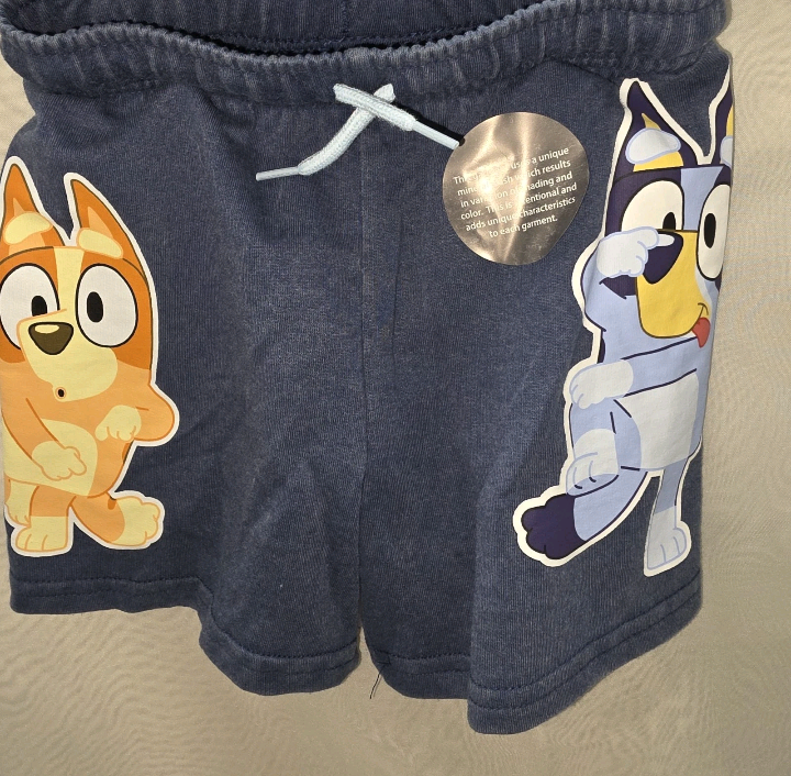 Bluey Boy 2 Piece Outfit Size 2T T Shirt And Shorts New With Tags.